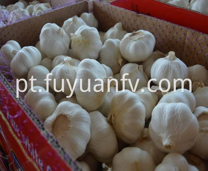 pure white garlic 